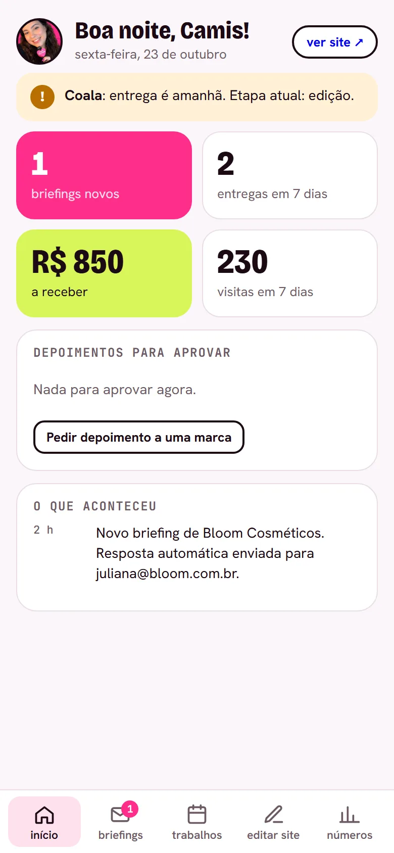 Painel da Camila no celular: briefings novos, entregas, valor a receber e visitas